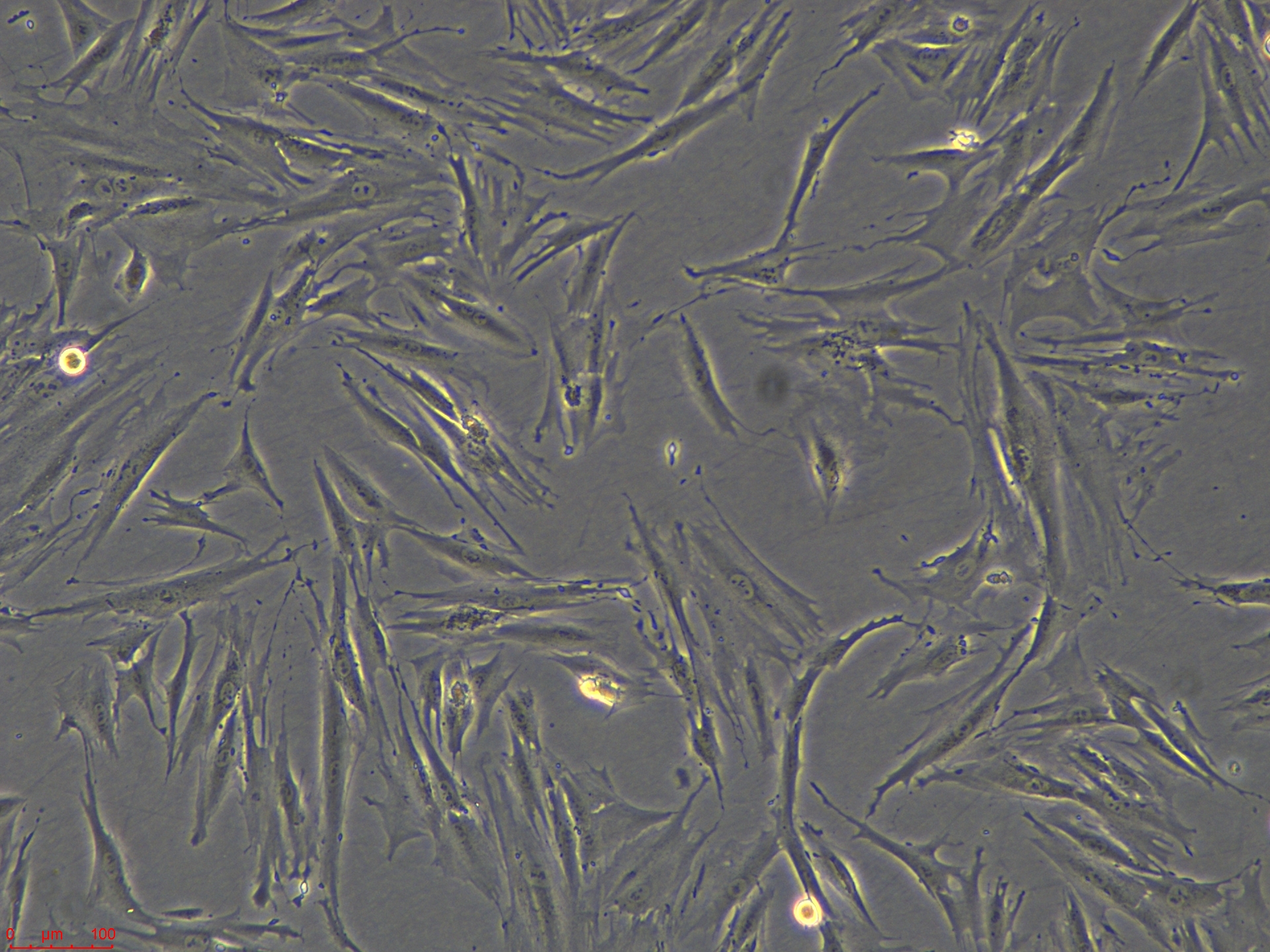 Project_CAF05_ch00 (4).jpg