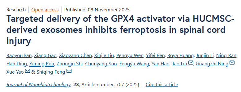 IF:12+，双肽修饰+药物负载+铁死亡，这篇脊髓损伤研究的外泌体设计，手把手教你做创新！