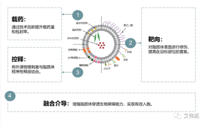 脂质体在脑胶质瘤应用有哪些