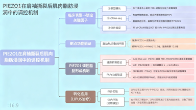 整合Bulk RNA-seq技术揭示PIEZO1在肌肉脂肪浸润中的调控机制