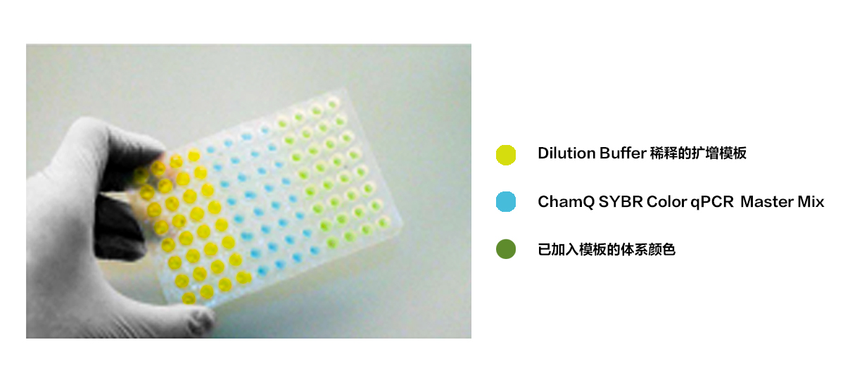 模板示踪型染料法定量PCR检测试剂盒 ChamQ SYBR 