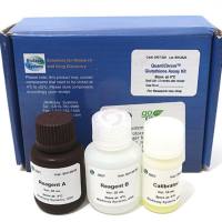 肌酐检测试剂盒