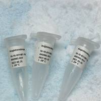 Lipoprotein a, Lp(a)  12-16-121601