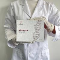 斑马鱼（Zebrafish）5羟色胺（5-HT） ELISA检测试剂盒