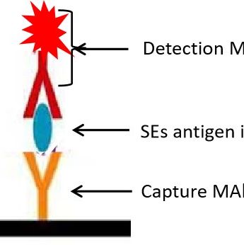 金葡菌肠毒素分型检测(ELISA)试剂盒