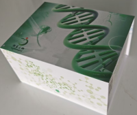 儿茶素高效液相色谱法试剂盒