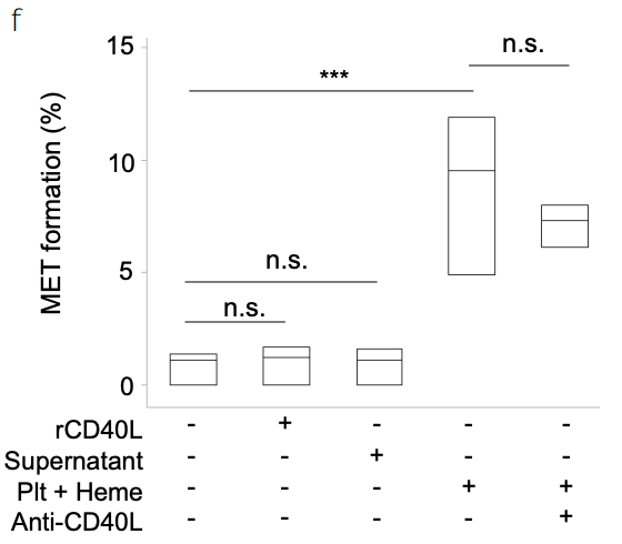 null 巨噬细胞与血小板的协同作用(1).png
