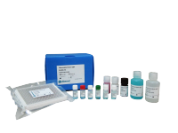 STAT6 monoclonal antibody (M01), clone 6C10