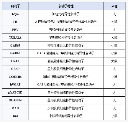 新闻图片9