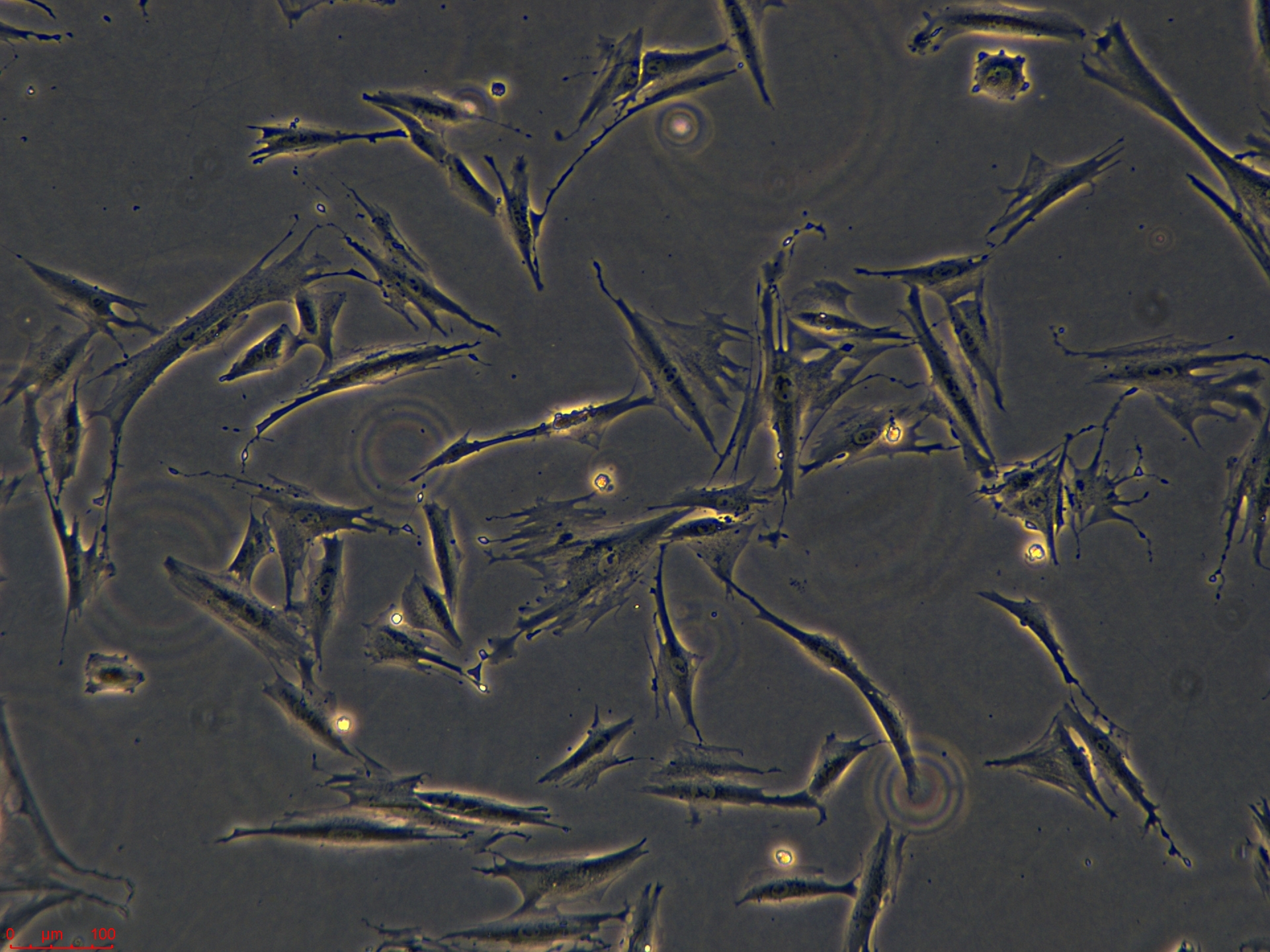 Project_CAF05_ch00 (3).jpg