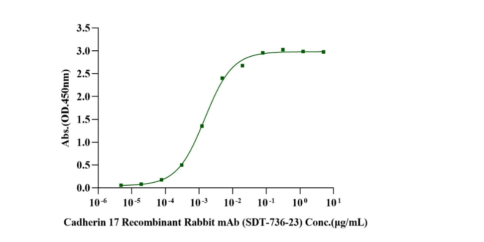 15.3亿美元! 中国ADC出海‘王炸’登场，CDH17凭什么值这个价？