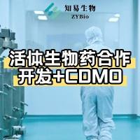 活体生物药开发+CDMO