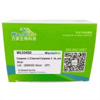 Caspase-1/Cleaved Caspase-1