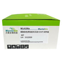 细胞染色质免疫共沉淀（ChIP）试剂盒-20T