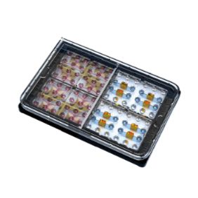 NETRI神经芯片 高通量器官芯片体外模型