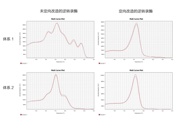 miRNA加尾法逆转录试剂盒 miRNA 1st Stran