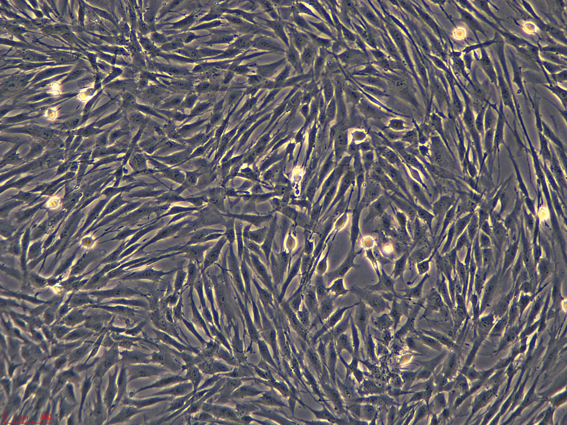 Project_CAF05_ch00 (5).jpg