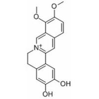 去亚甲基小檗碱