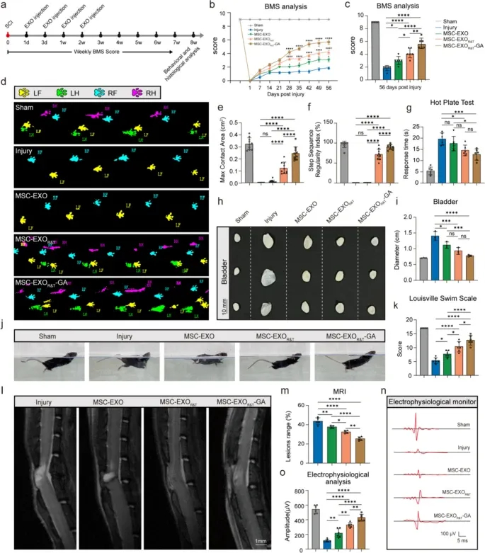 多肽修饰外泌体