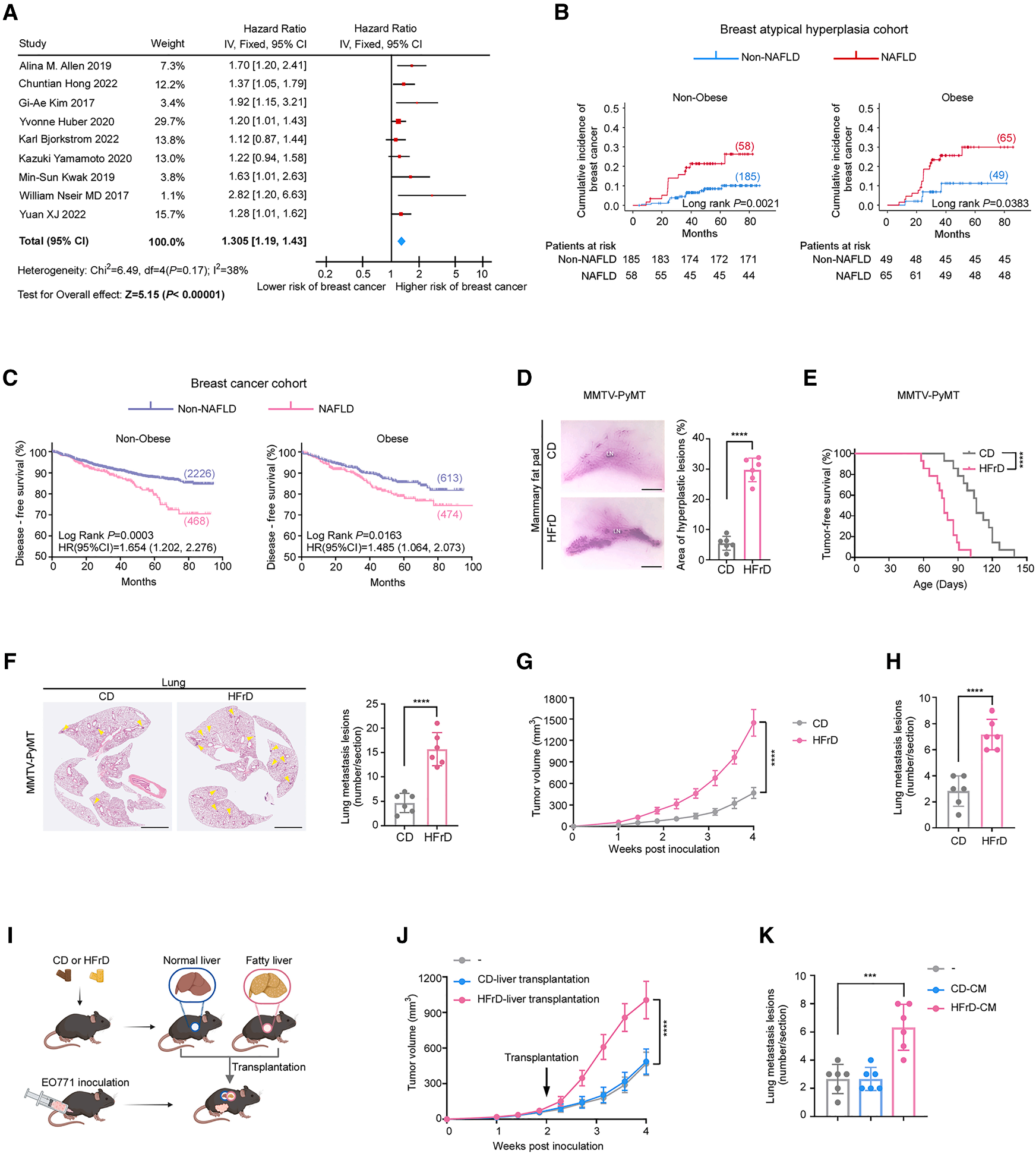 Cell Metabolism | 脂肪肝竟是乳腺癌的“远程指挥官”？科学家揭秘它的致癌信使
