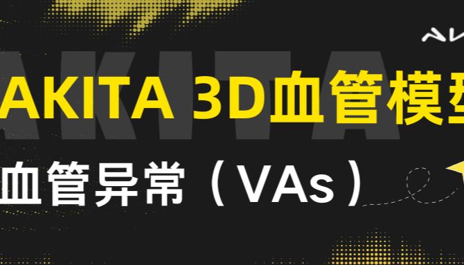 AKITA 3D血管模型 | 血管异常（VAs）