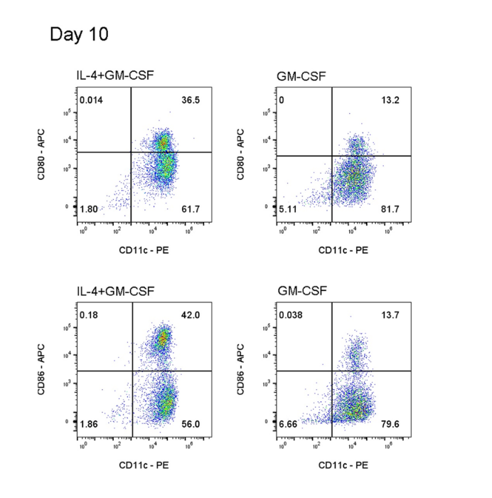 别找我，我在养BMDC