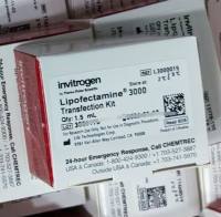 11668019,Lip2000,Lipofectamine2000转染试剂