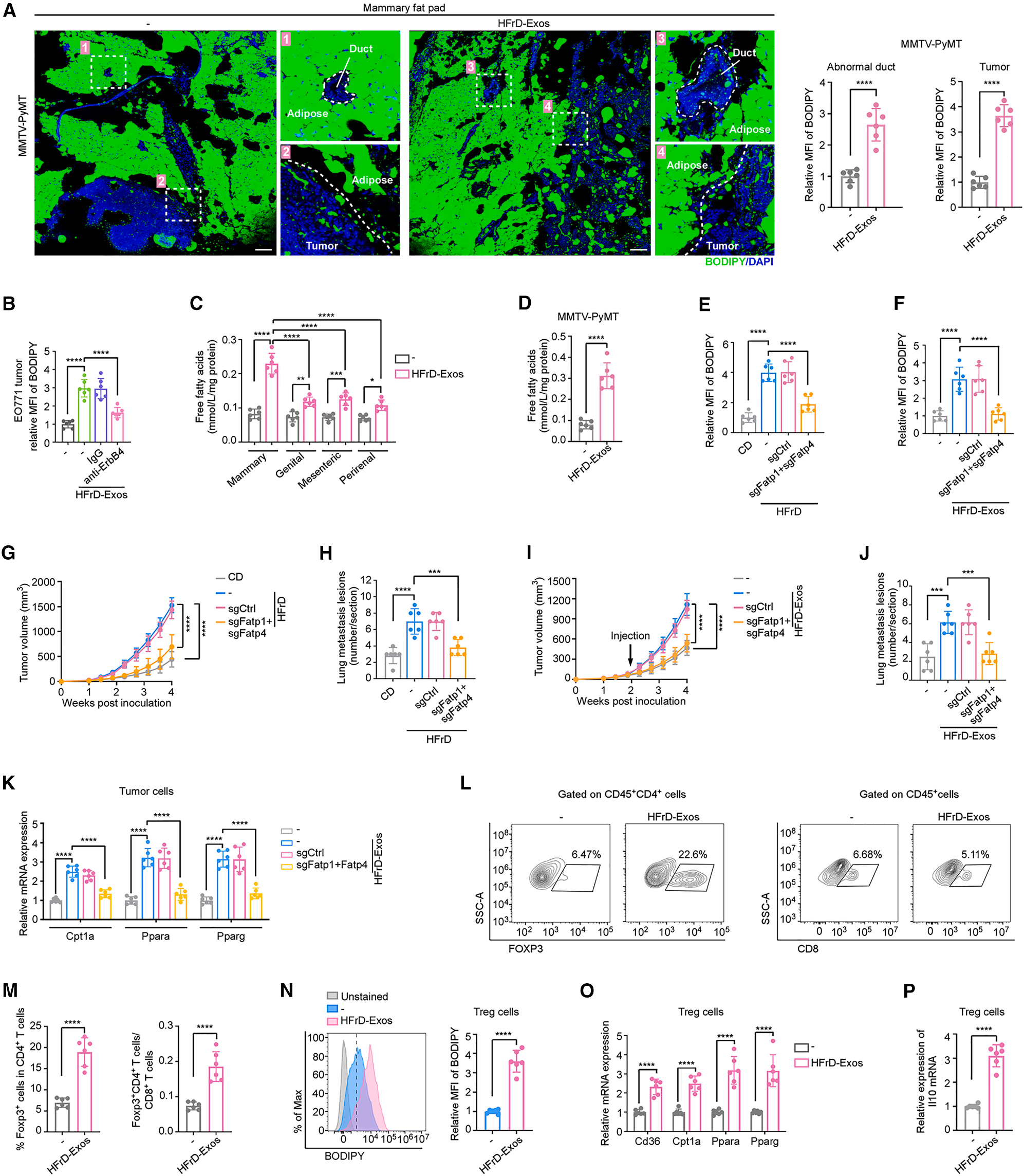 Cell Metabolism | 脂肪肝竟是乳腺癌的“远程指挥官”？科学家揭秘它的致癌信使