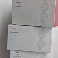 乳酸脱氢酶（Lactate Dehydrogenase，LDH）试剂盒