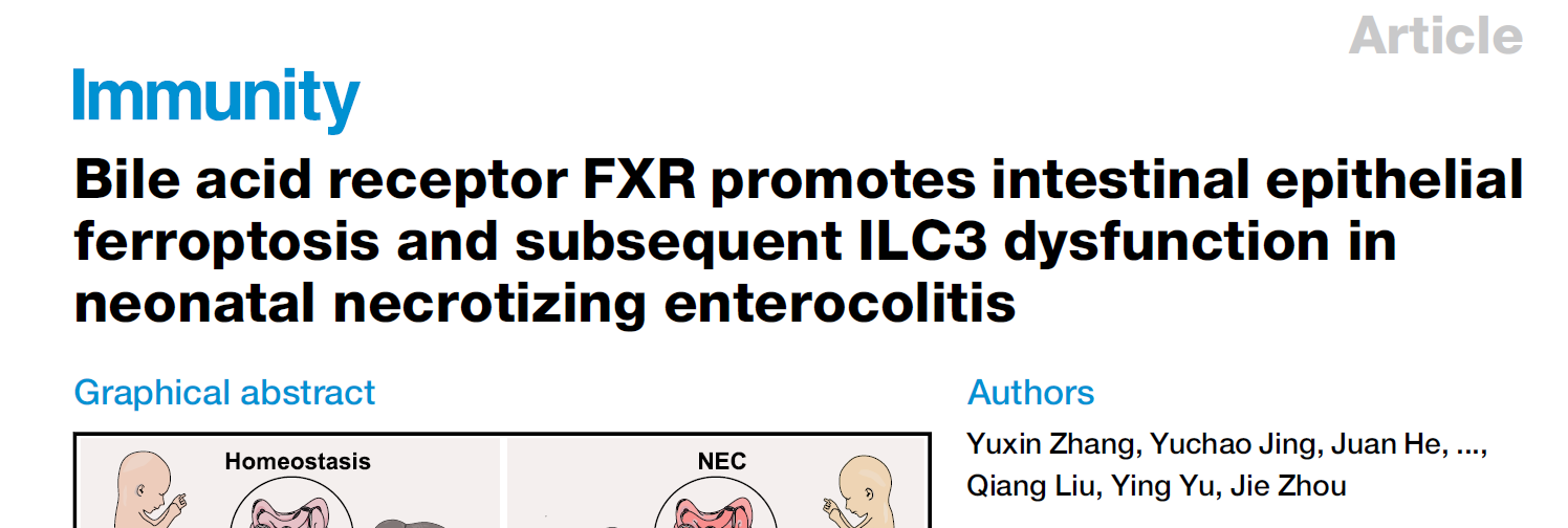【IF 26.3】聚焦新生儿坏死性小肠结肠炎机制：absin 多重荧光免疫组化试剂盒助力胆汁酸受体 FXR 调控肠上皮铁死亡研究