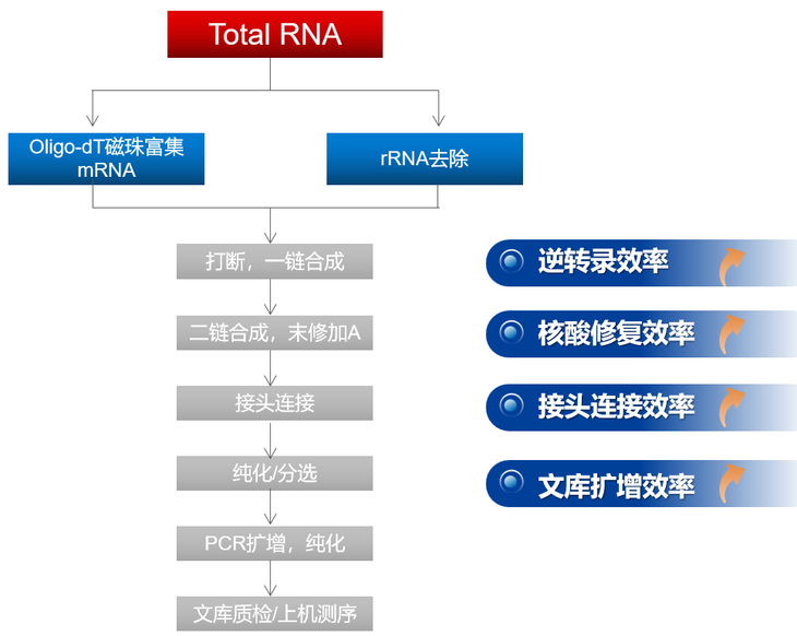 产品细节图片3