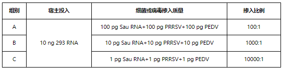 产品细节图片6