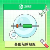 基因敲除细胞现货