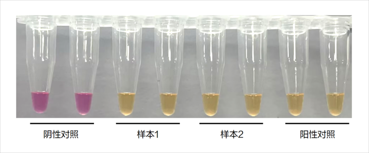 Mycolor One-Step Mycoplasma De