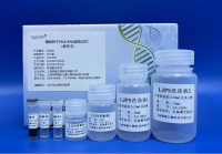 植物种子DNA/RNA提取试剂（磁珠法）