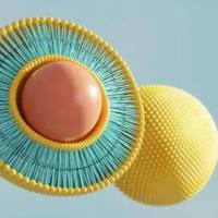 叶酸与转铁蛋白双重配体修饰的脂质体递药系统 ：兼具靶向、成像及肺癌治疗功能