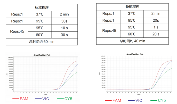 支持引物探针全预混的高灵敏qPCR预混液 Animal De