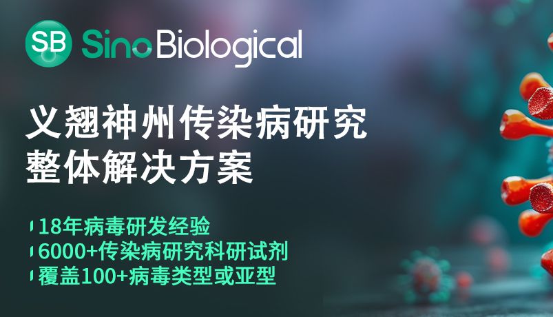 Nature系列综述：呼吸道病毒之间的“相爱相杀”