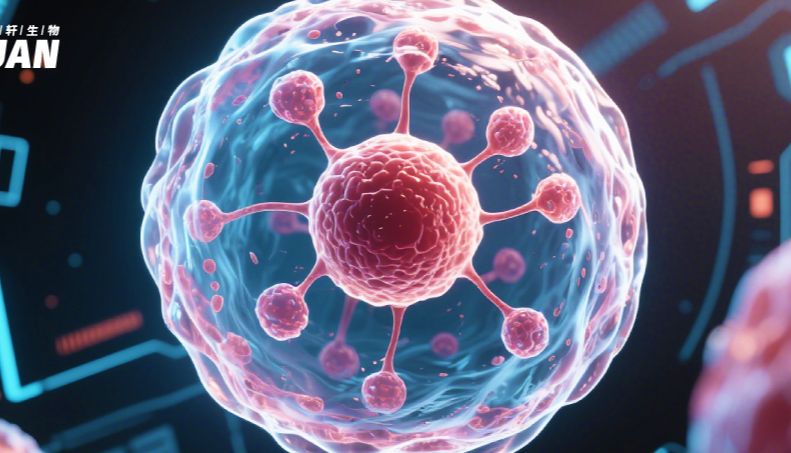 间充质干细胞（MSCs）研究与操作指南