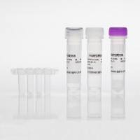 六项呼吸道病原体核酸检测试剂盒（荧光PCR法）