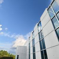 结合珠蛋白抗原, 混合型, 免疫原级