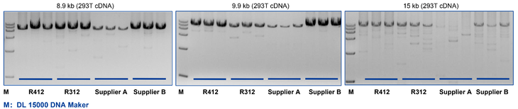 HiScript IV 1st Strand cDNA Sy
