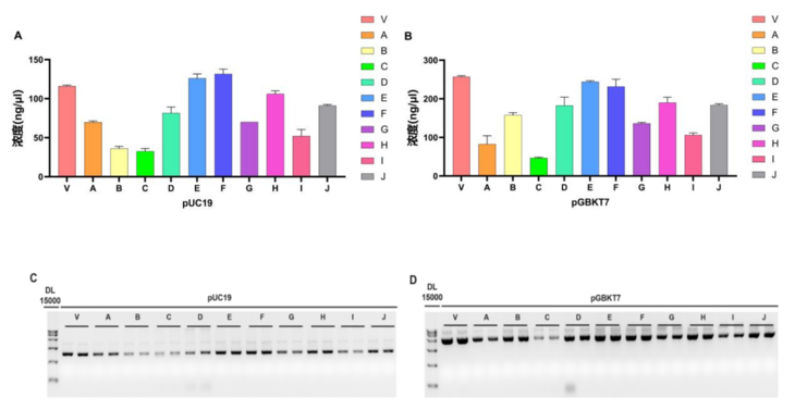 快速质粒小提试剂盒(RapidLyse Plasmid Mi