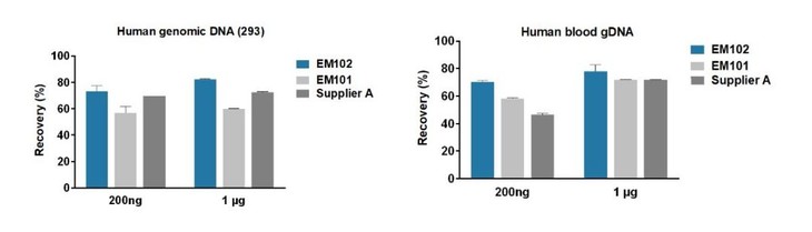 EpiArt DNA Methylation Bisulfi