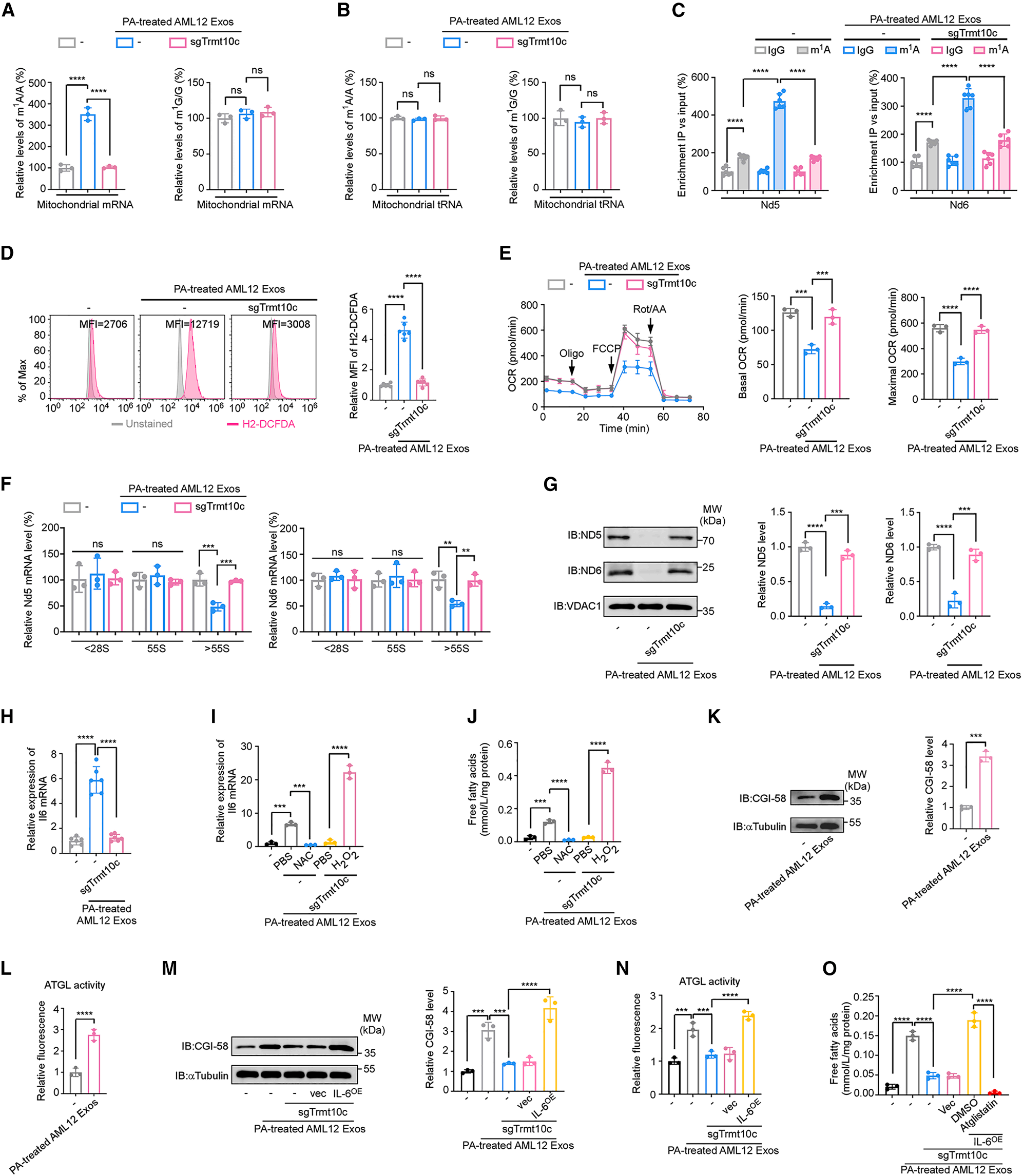 Cell Metabolism | 脂肪肝竟是乳腺癌的“远程指挥官”？科学家揭秘它的致癌信使