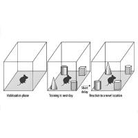 新物体识别实验