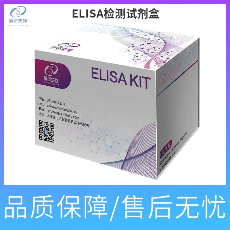 人绒毛膜促性腺激素