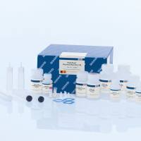 EndoFree Plasmid Kits质粒试剂盒