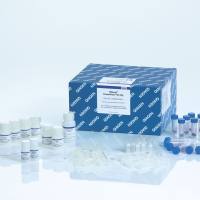 DNeasy PowerWater Kit试剂盒