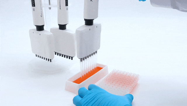 实验加速器，八道定乾坤！